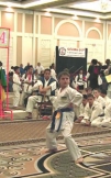 Міжнародний турнір з карате «КУБОК ОЗАВИ-2012»