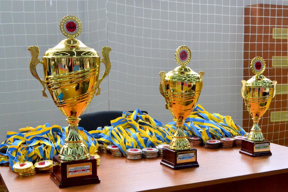 ХІІІ Кубок України та Кубок нації з Фунакоші шотокан карате